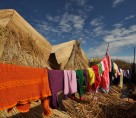 Colourful reeds